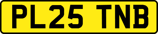 PL25TNB
