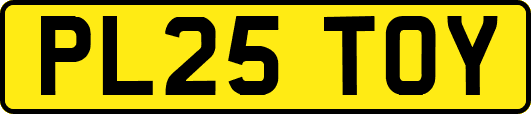 PL25TOY