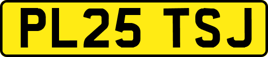 PL25TSJ