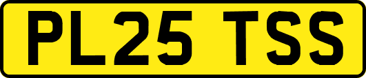 PL25TSS