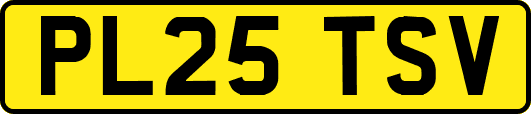 PL25TSV