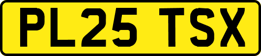 PL25TSX