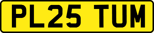 PL25TUM