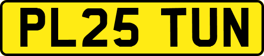 PL25TUN