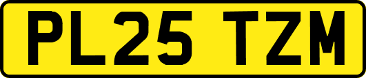 PL25TZM