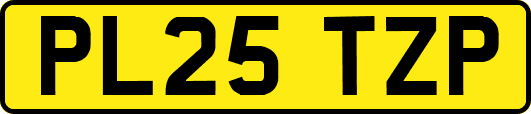 PL25TZP