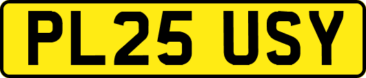 PL25USY