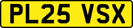 PL25VSX