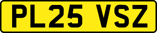 PL25VSZ