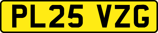 PL25VZG