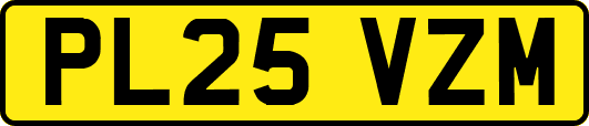 PL25VZM