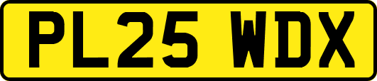 PL25WDX
