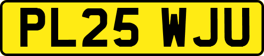 PL25WJU
