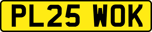 PL25WOK