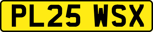 PL25WSX
