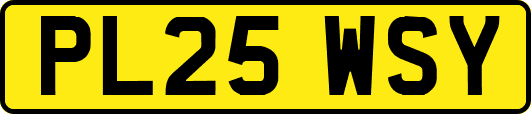 PL25WSY