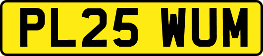 PL25WUM