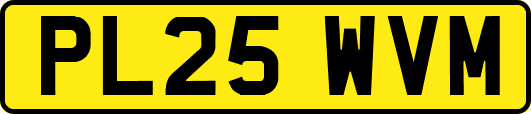 PL25WVM