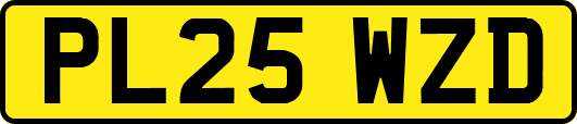 PL25WZD