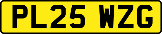 PL25WZG