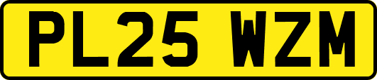 PL25WZM