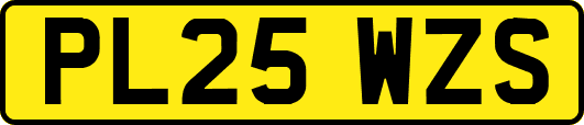PL25WZS
