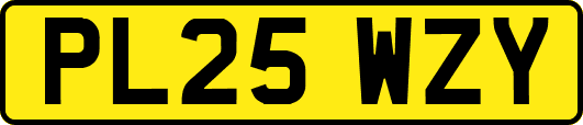 PL25WZY