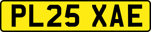 PL25XAE