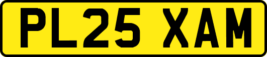 PL25XAM