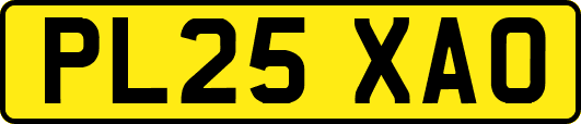 PL25XAO
