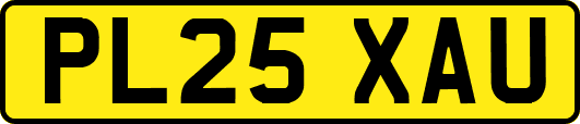 PL25XAU
