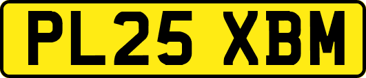 PL25XBM