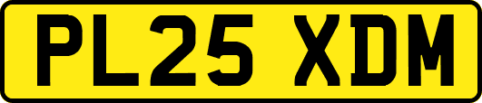 PL25XDM