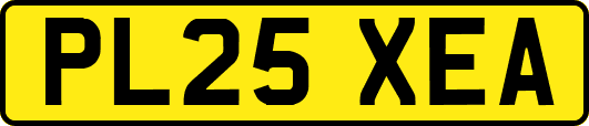 PL25XEA