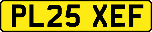 PL25XEF
