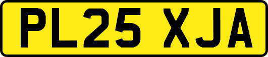 PL25XJA