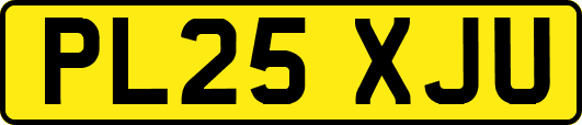 PL25XJU