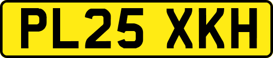 PL25XKH