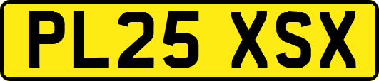 PL25XSX