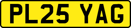 PL25YAG