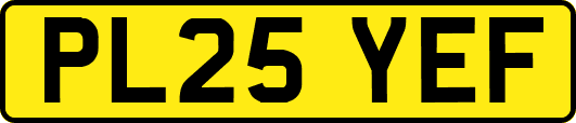 PL25YEF