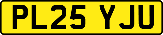 PL25YJU