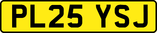 PL25YSJ