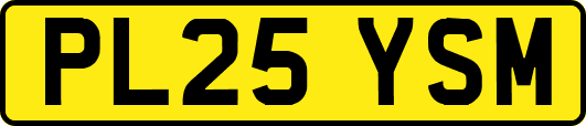 PL25YSM