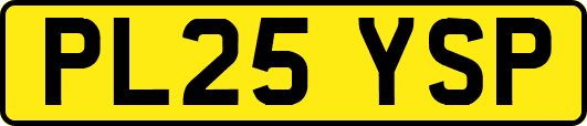 PL25YSP