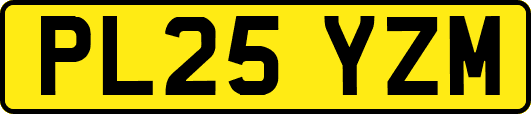 PL25YZM