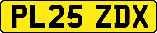 PL25ZDX