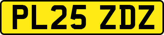 PL25ZDZ