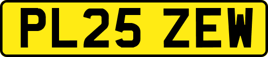 PL25ZEW