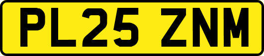 PL25ZNM